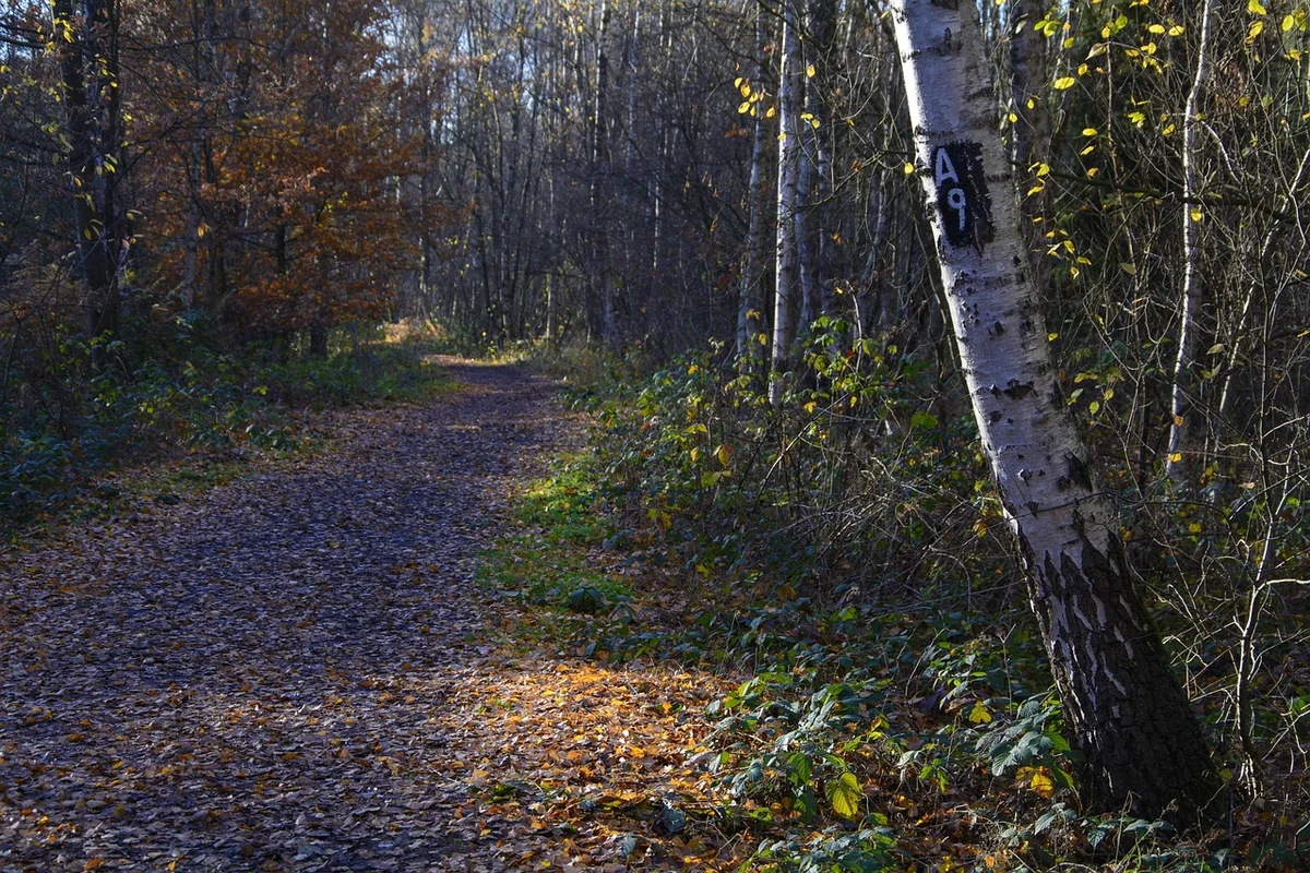 Redefining success: from box ticking to scientific imperative